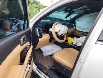 2023 Kia Sorento KNARG81FHPA195674 VIN:KNARG81FHPA195674