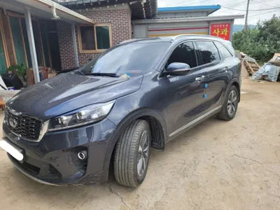 2020 Kia Sorento KNAPS811BLA625933 VIN:KNAPS811BLA625933