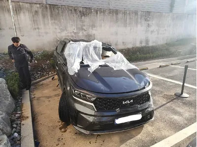 2023 Kia Sorento KNARL81GBPA179984 VIN:KNARL81GBPA179984
