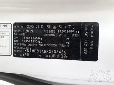 2019 Kia Carnival KNAMB81ABKS605466 VIN:KNAMB81ABKS605466