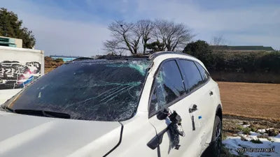 2023 Kia Sorento KNARJ81FGPA201460 VIN:KNARJ81FGPA201460