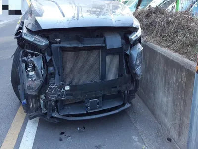 2018 Hyundai Santa FE KMHS381CBKU107767 VIN:KMHS381CBKU107767