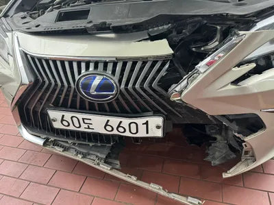 2019 Lexus ES 300 JTHB21B10K2009799 VIN:JTHB21B10K2009799