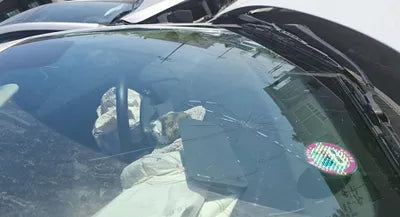 2019 Hyundai Kona KMHK4815GKU384793 VIN:KMHK4815GKU384793