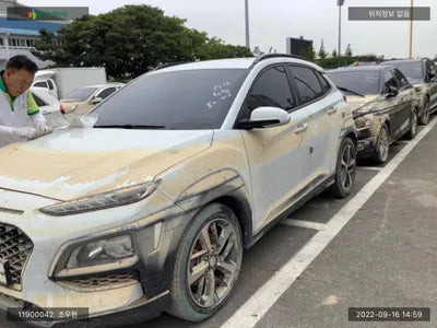 2017 Hyundai Kona KMHK4815GJU009828 VIN:KMHK4815GJU009828