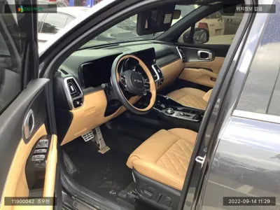 2021 Kia Sorento KNARH81GBNA066681 VIN:KNARH81GBNA066681