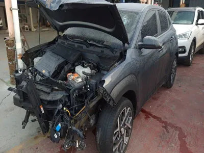 2020 Hyundai Kona KMHK381EGLU009425 VIN:KMHK381EGLU009425