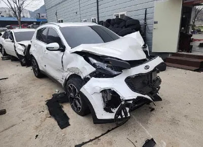 2019 Kia Sportage KNAPR813BKK557772 VIN:KNAPR813BKK557772