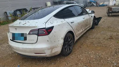 2021 Tesla Model 3 VIN: