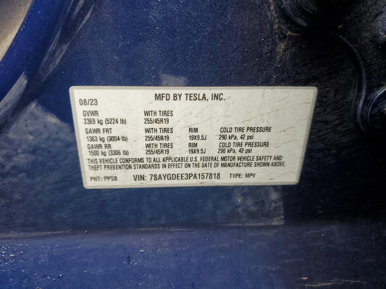 2023 TESLA MODEL Y VIN:7SAYGDEE3PA157818