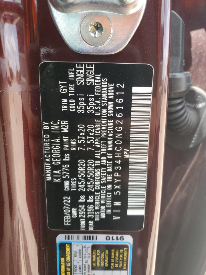 2022 KIA TELLURIDE EX VIN:5XYP34HC0NG261612