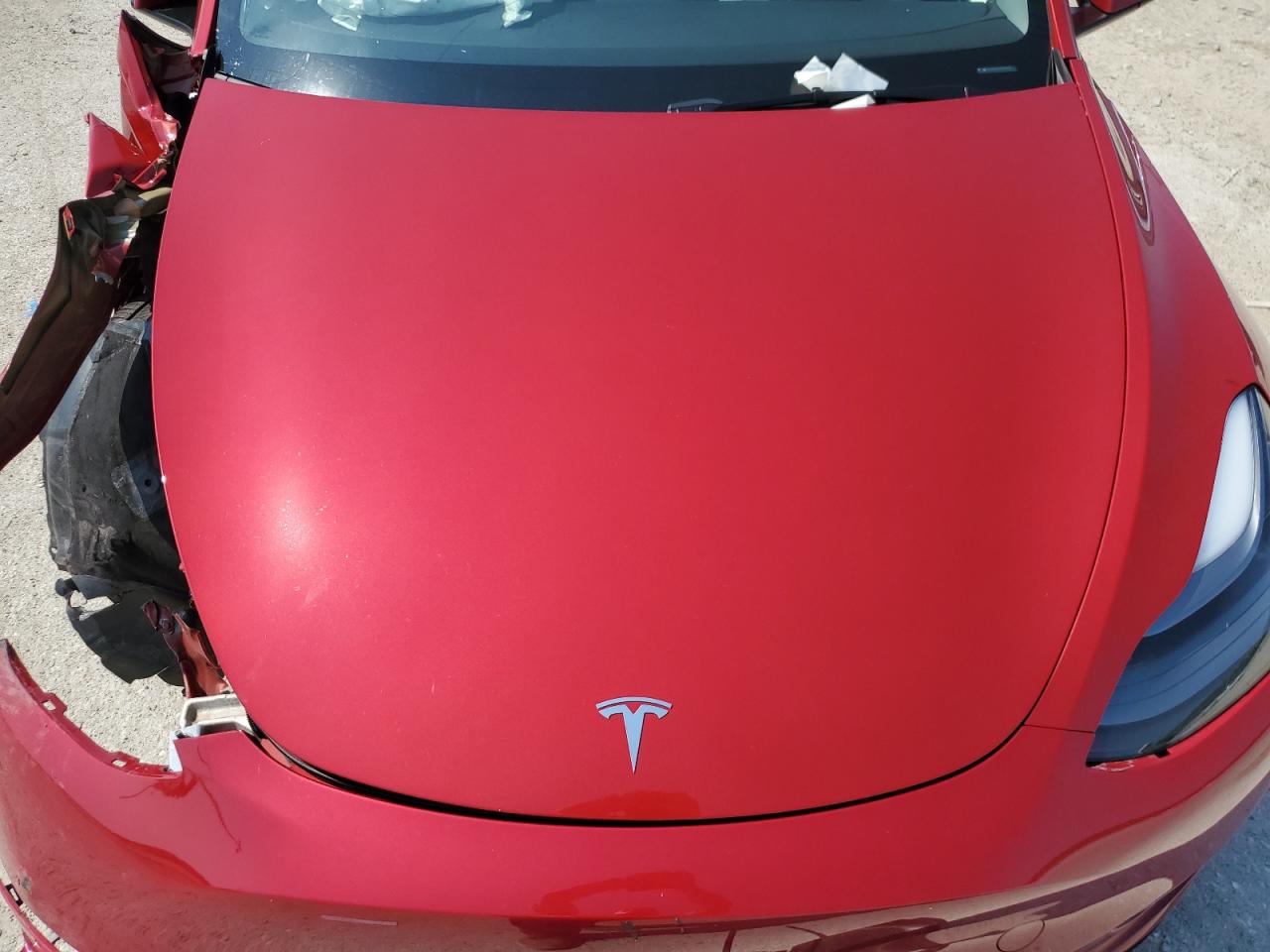 2023 TESLA MODEL Y VIN:7SAYGDEE5PA194417