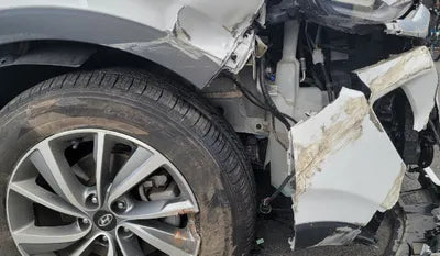 2020 Hyundai Santa FE KMHS281CBLU256464 VIN:KMHS281CBLU256464