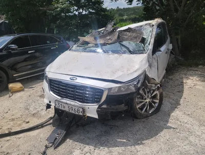 2019 Kia Carnival KNAME81ABKS494409 VIN:KNAME81ABKS494409