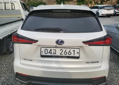 2018 Lexus NX 300 JTJBJRBZ6J2079876 VIN:JTJBJRBZ6J2079876 LotId