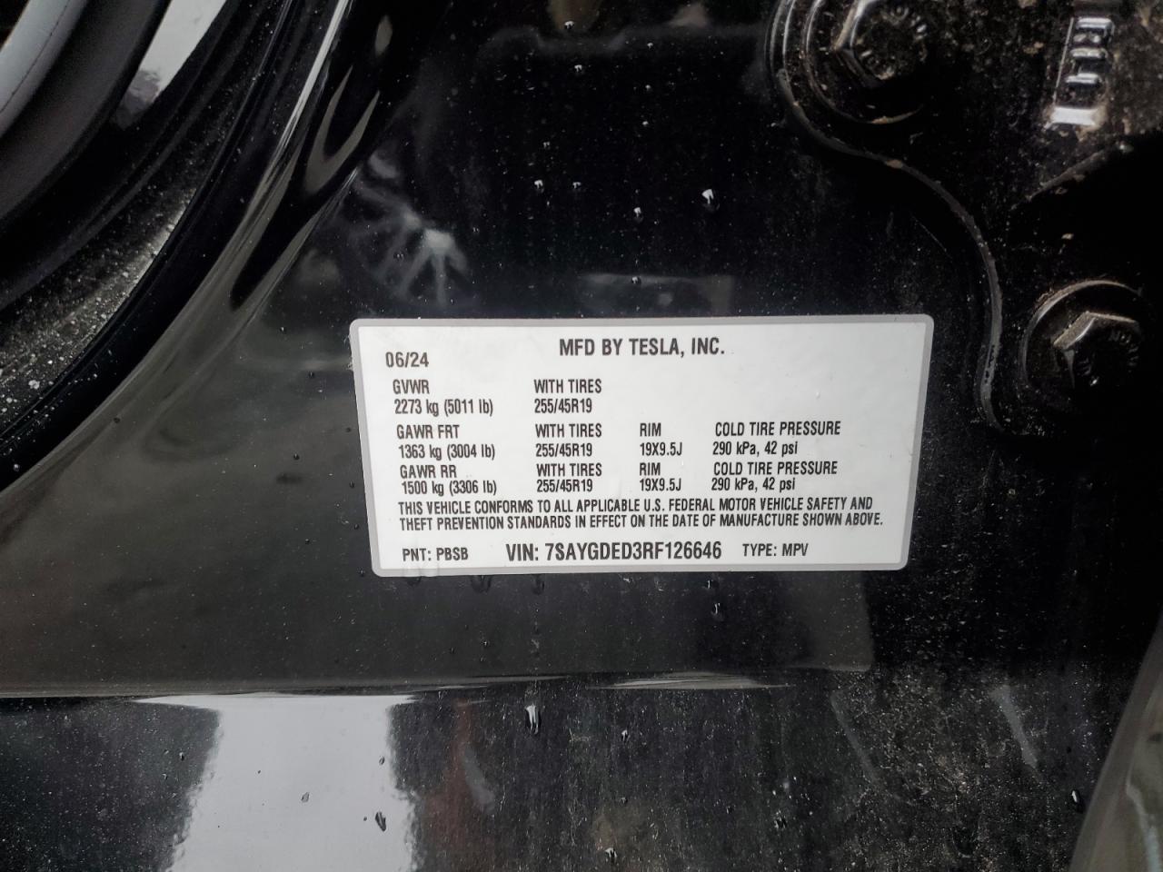 2024 TESLA MODEL Y VIN:7SAYGDED3RF126646