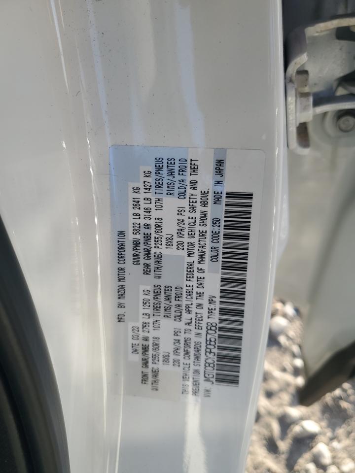 2023 MAZDA CX-9 TOURING VIN:JM3TCBCY3P0657068