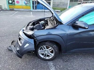 2018 Hyundai Kona KMHK3816GJU139771 VIN:KMHK3816GJU139771