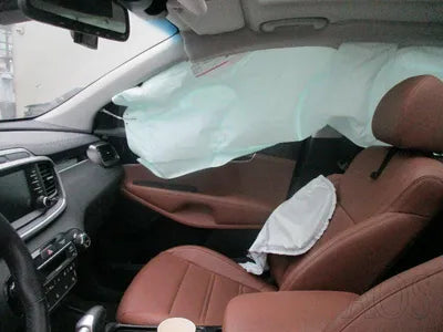 2019 Kia Sorento KNAPH81BBLA599043 VIN:KNAPH81BBLA599043
