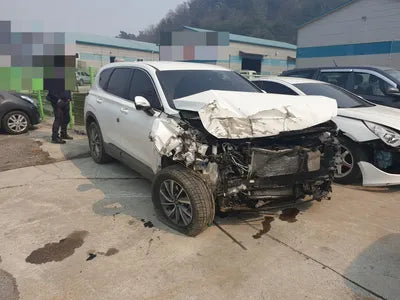 2019 Hyundai Santa FE KMHS281BDKU136900 VIN:KMHS281BDKU136900