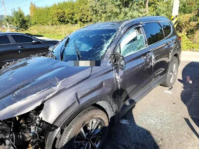 2019 Hyundai Santa FE KMHS281BBKU157211 VIN:KMHS281BBKU157211