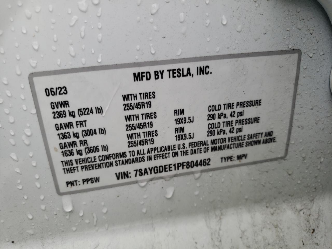 2023 TESLA MODEL Y VIN:7SAYGDEE1PF804462