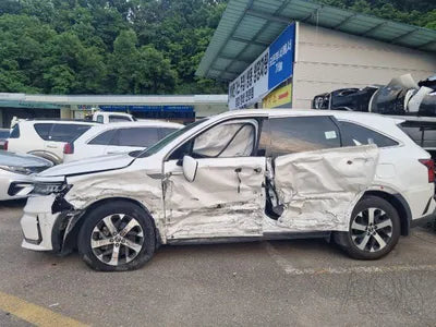 2021 Kia Sorento KNARL81BHMA045694 VIN:KNARL81BHMA045694