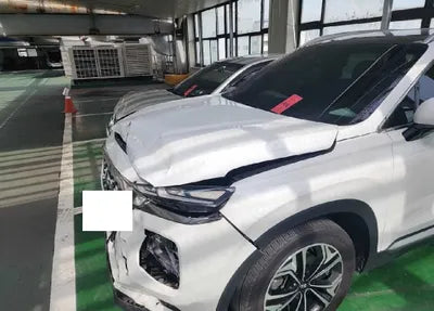 2019 Hyundai Santa FE KMHS381CDKU013123 VIN:KMHS381CDKU013123