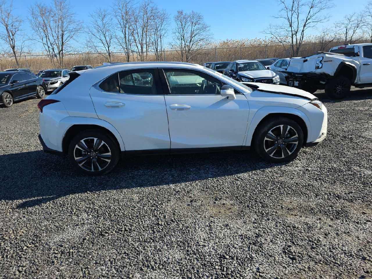 2023 LEXUS UX 250H PREMIUM VIN:JTHP9JBH5P2067865