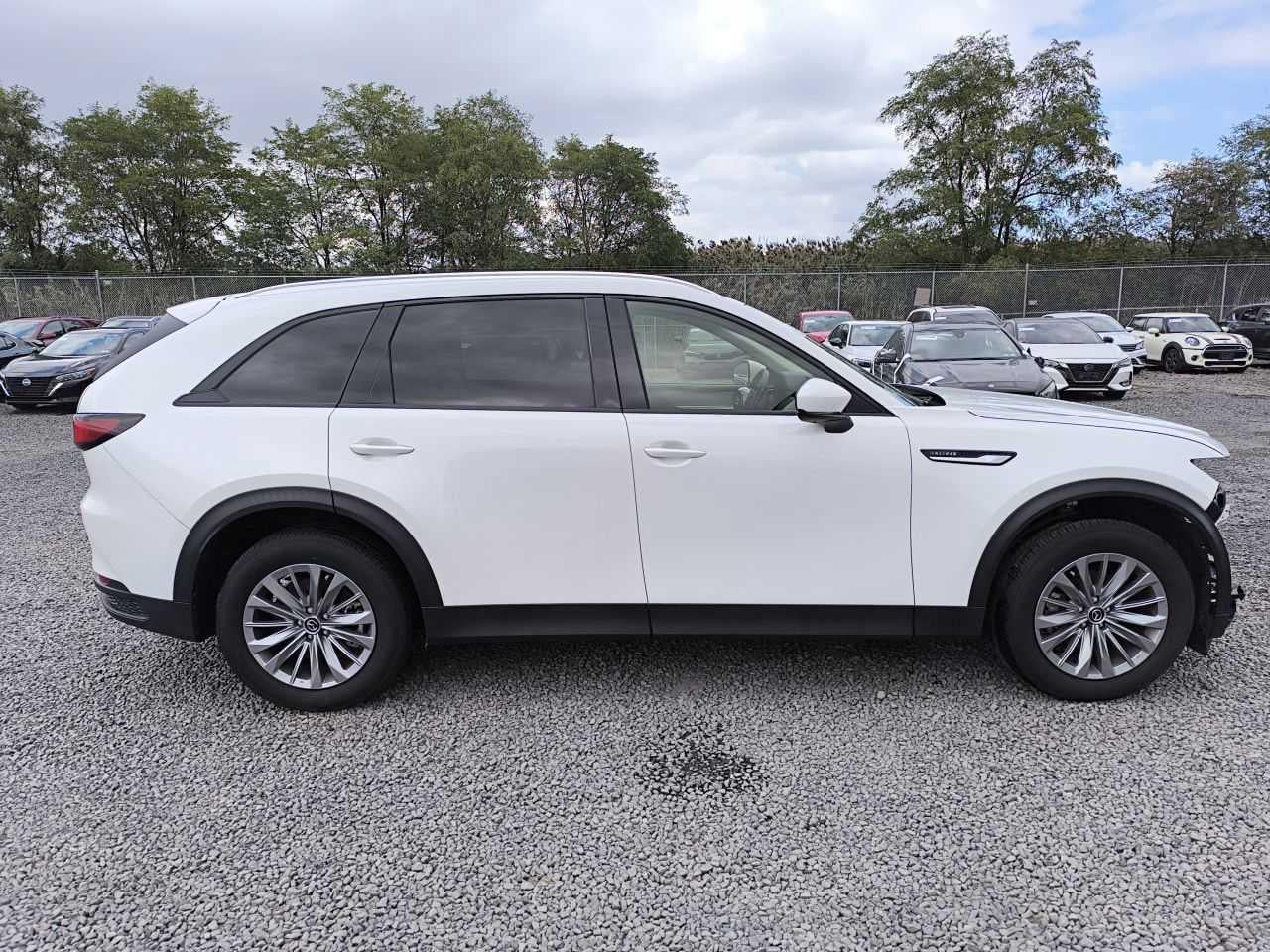 2024 MAZDA CX-90 PREFERRED PLUS VIN:JM3KKCHD2R1114205