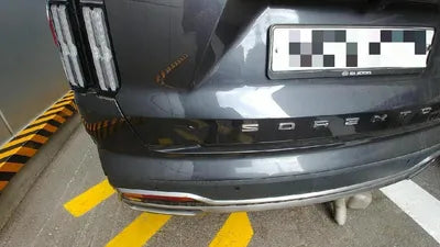 2020 Kia Sorento KNARG81BGMA017381 VIN:KNARG81BGMA017381