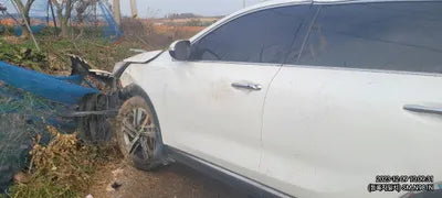 2017 Kia Sorento 339KMKNAPH81ABHA3 VIN:339KMKNAPH81ABHA3