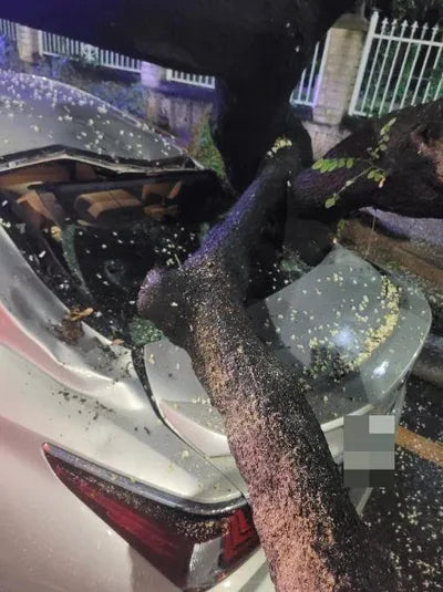 2018 Lexus ES 300 VIN: