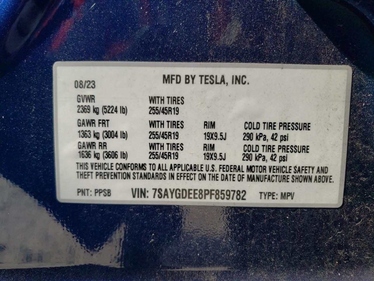 2023 TESLA MODEL Y VIN:7SAYGDEE8PF859782