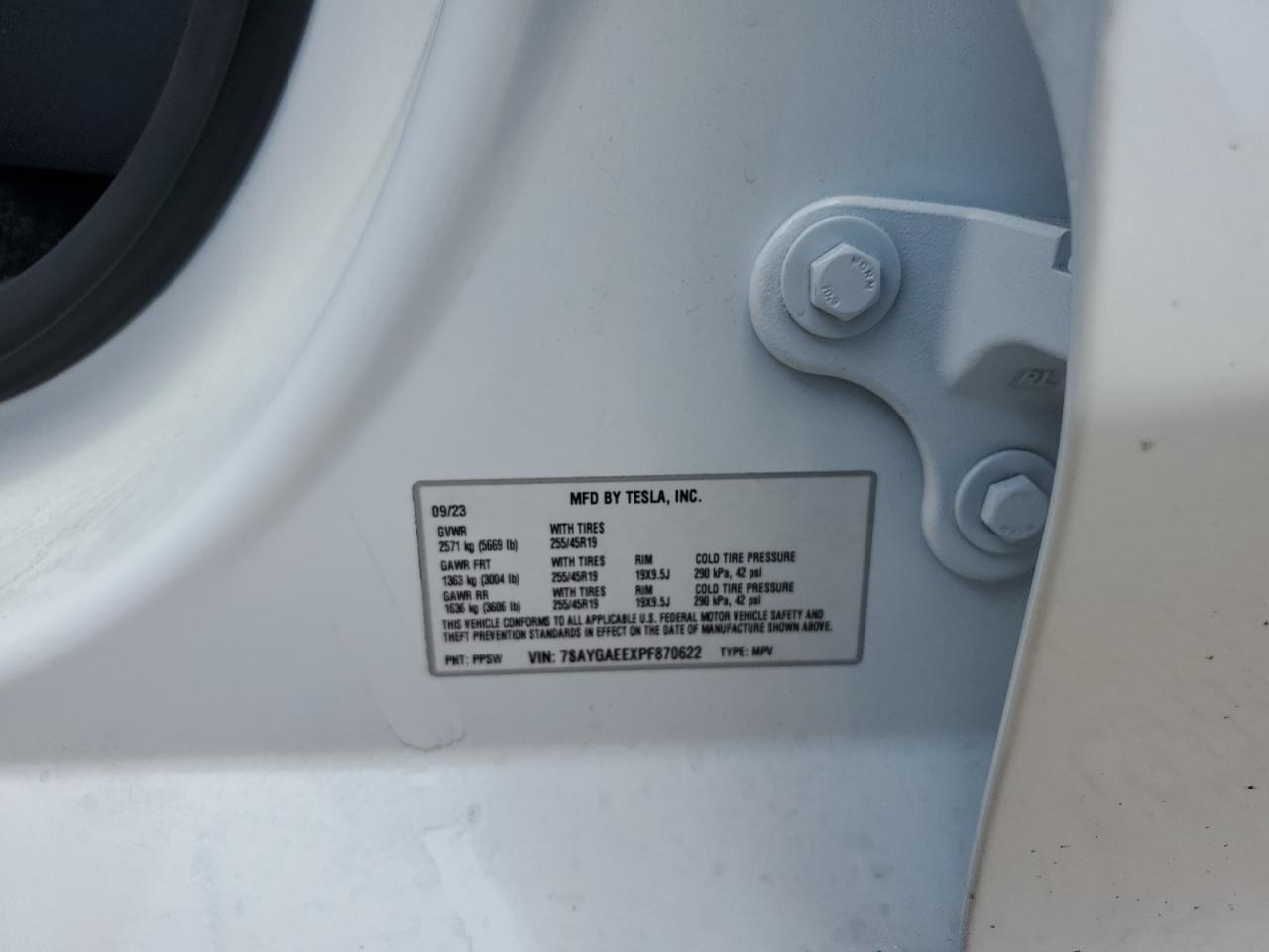 2023 TESLA MODEL Y VIN:7SAYGAEEXPF870622