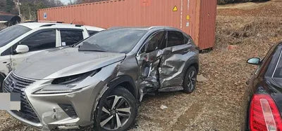 2018 Lexus NX 300 VIN: