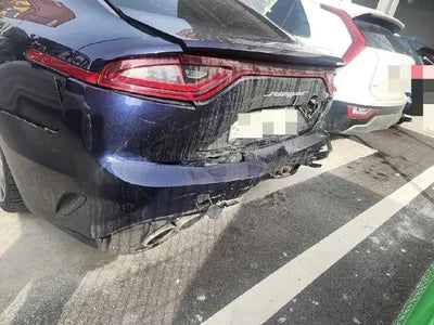 2019 Kia Stinger KNAE751CBKS060934 VIN:KNAE751CBKS060934