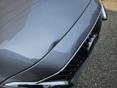 2021 Lexus ES 300 VIN: