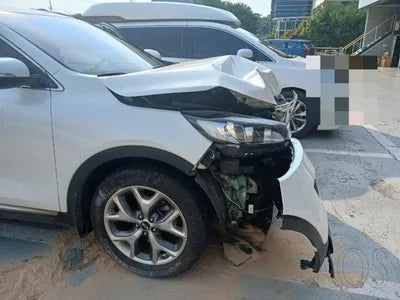 2016 Kia Sorento KNAPH81ABGA195058 VIN:KNAPH81ABGA195058