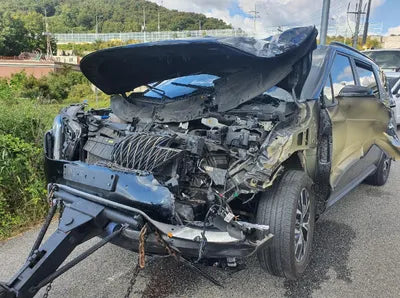 2022 Kia Carnival KNANB81BBNS131772 VIN:KNANB81BBNS131772