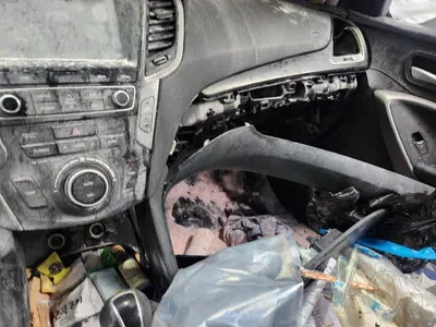 2016 Hyundai Santa FE KMHSW81UBGU589695 VIN:KMHSW81UBGU589695