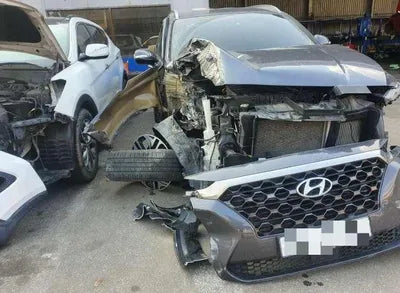 2018 Hyundai Santa FE KMHS381BBKU046289 VIN:KMHS381BBKU046289