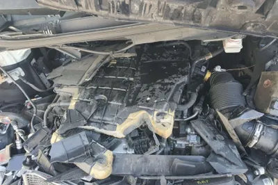2021 Kia Carnival KNANB81BBMS037266 VIN:KNANB81BBMS037266