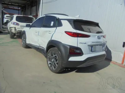 2020 Hyundai Kona KMHK381EGLU046244 VIN:KMHK381EGLU046244