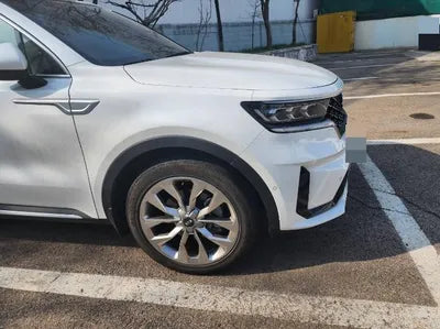 2021 Kia Sorento KNARL81BGMA107329 VIN:KNARL81BGMA107329