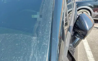 2020 Kia Carnival VIN: