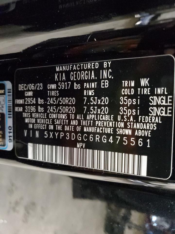 2024 KIA TELLURIDE EX VIN:5XYP3DGC6RG475561