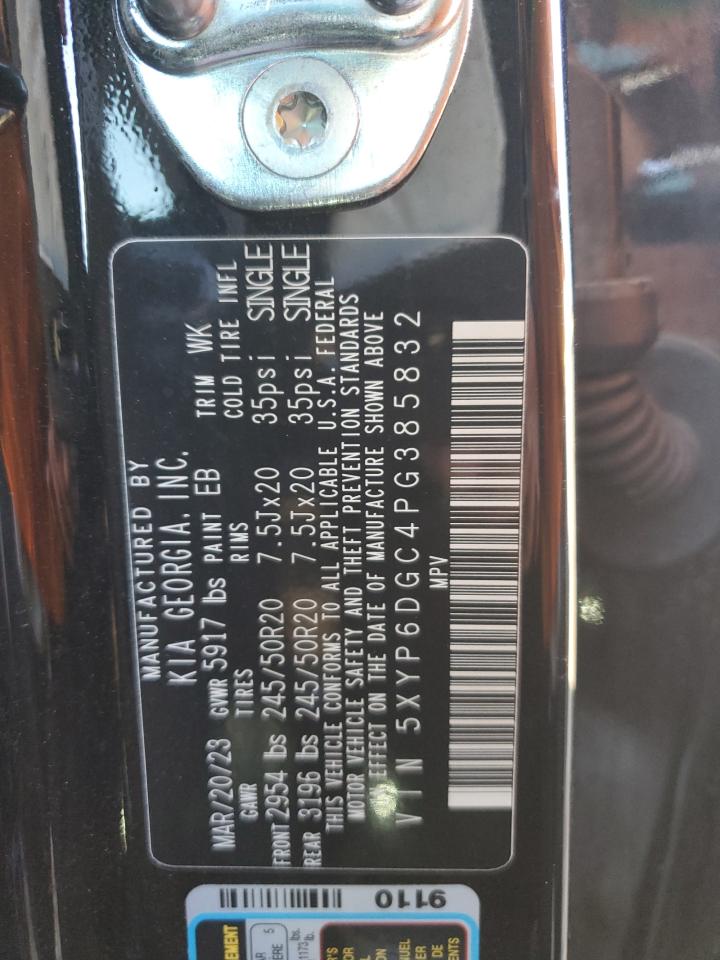 2023 KIA TELLURIDE S VIN:5XYP6DGC4PG385832