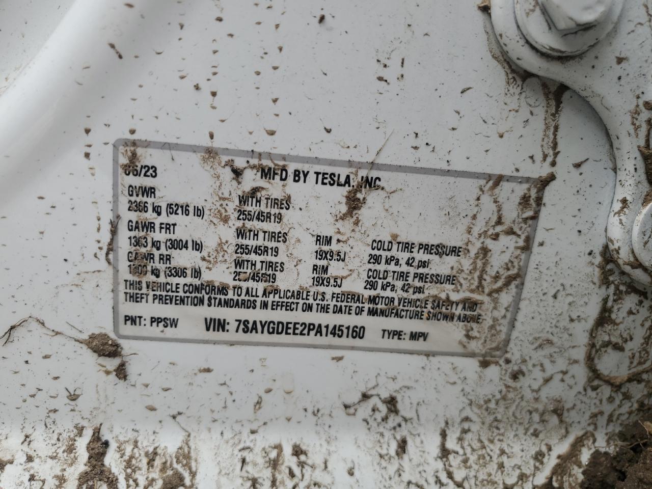 2023 TESLA MODEL Y VIN:7SAYGDEE2PA145160