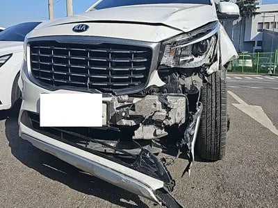 2019 Kia Carnival KNAMB81ABKS495148 VIN:KNAMB81ABKS495148